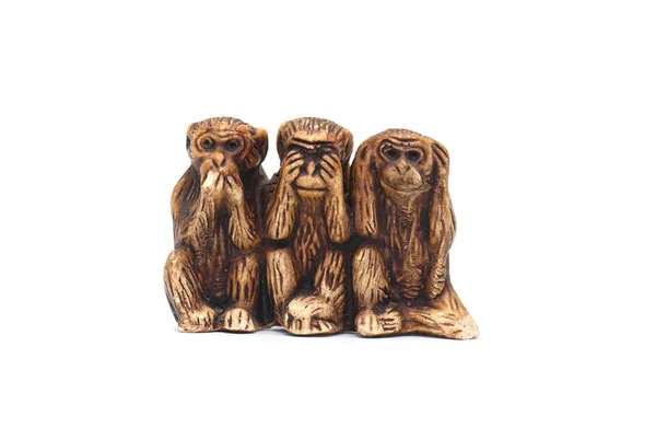 Three Wise Monkeys Isolated White Background — Stock Photo, Image