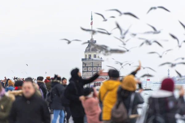 Istambul Pessoas Alimentam Gaivotas Frente Torre Donzela Kiz Kulesi Turquia — Fotografia de Stock