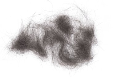 Beyaz arkaplanda kedi kürkü izole edilmiş, evcil hayvanın tarağını kapat, üst görünüm