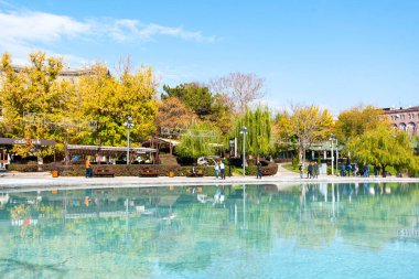 Kasım 04 'te Erivan' daki şehir parkında Kuğu Gölü. 2017 Ermenistan