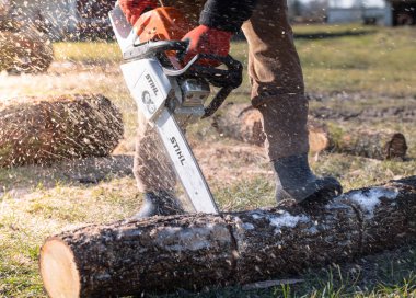 Obsza, Poland - March, 2020: Man is sawing a tree with a Stihl saw.
