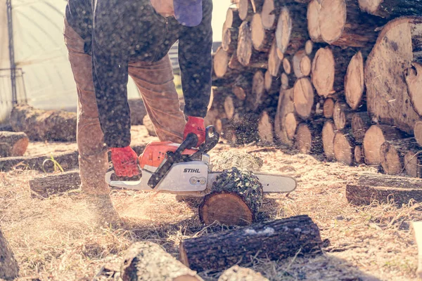 Obsza Poland March 2020 Man Sawing Tree Stihl Saw — стокове фото