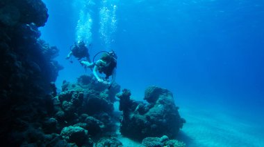 Kızıl denizde hava balonuyla dalış. Eğitmen. Kız ve Cor