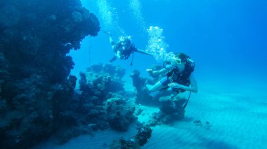 Kızıl denizde hava balonuyla dalış. Eğitmen. Kız ve Cor