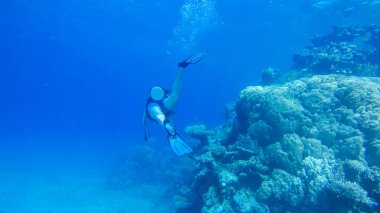 Kızıl denizde hava balonuyla dalış. Eğitmen. Kız ve Cor