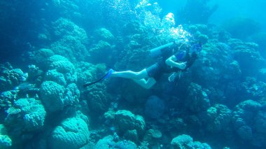 Kızıl denizde hava balonuyla dalış. Eğitmen. Kız ve Cor