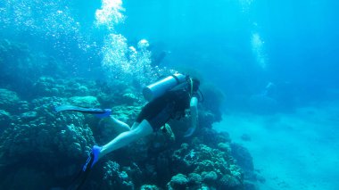 Kızıl denizde hava balonuyla dalış. Eğitmen. Kız ve Cor