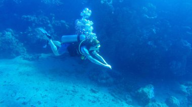 Kızıl denizde hava balonuyla dalış. Eğitmen. Kız ve Cor