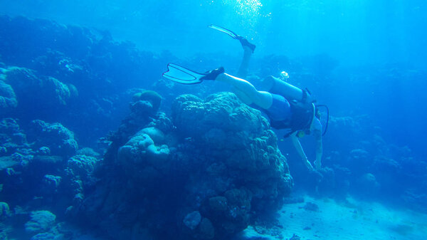 Diving with air balloon in the red sea. Instructor. Girl and cor