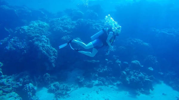 Buceo con globo de aire en el mar rojo. Instructor. Chica y cor —  Fotos de Stock