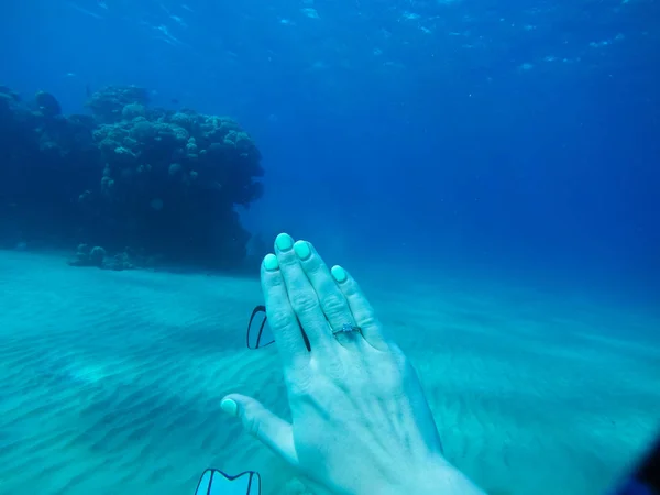 Engajamento debaixo de água. Diamante ring.Diving no mar vermelho.Menina a — Fotografia de Stock