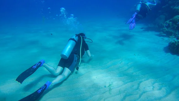 Buceo con globo de aire en el mar rojo. Instructor. Chica y cor — Foto de Stock