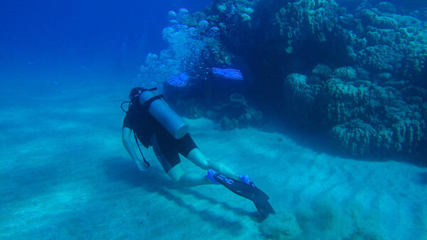 Diving with air balloon in the red sea. Instructor. Girl and cor