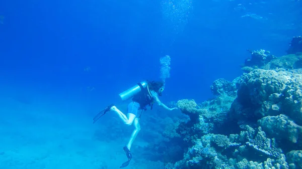 Mergulho com balão de ar no mar vermelho. Instrutor. Menina e cor — Fotografia de Stock