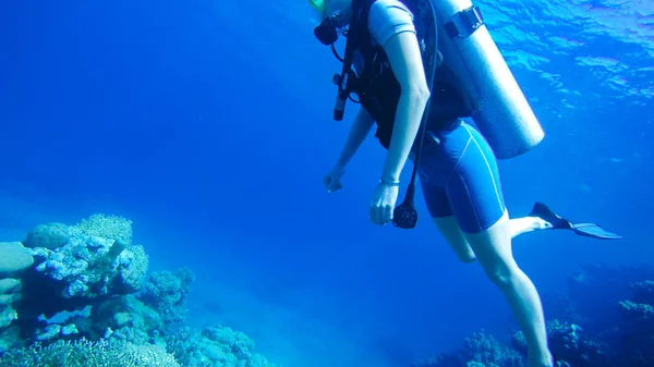 Diving with air balloon in the red sea. Instructor. Girl and cor — Stock Photo, Image