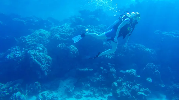 Mergulho com balão de ar no mar vermelho. Instrutor. Menina e cor — Fotografia de Stock
