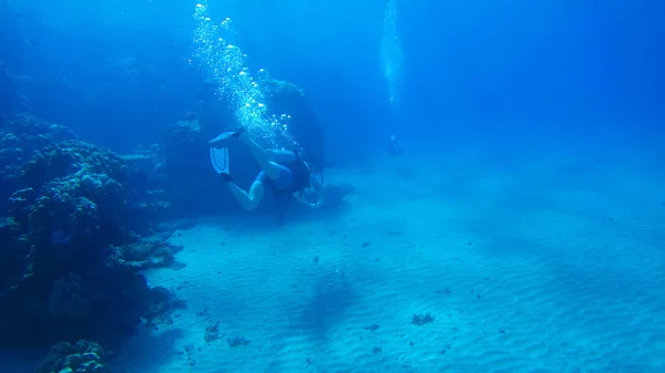 Buceo con globo de aire en el mar rojo. Instructor. Chica y cor —  Fotos de Stock