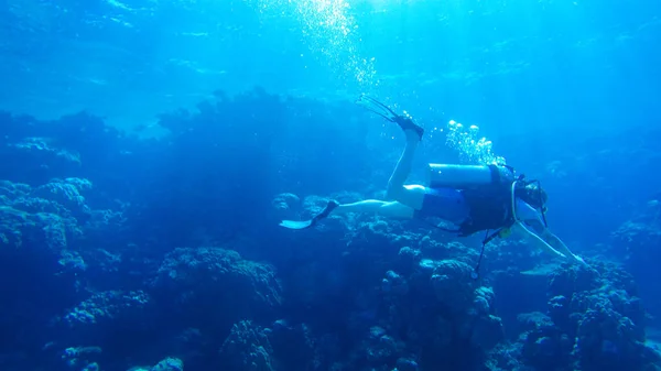 Buceo con globo de aire en el mar rojo. Instructor. Chica y cor — Foto de Stock