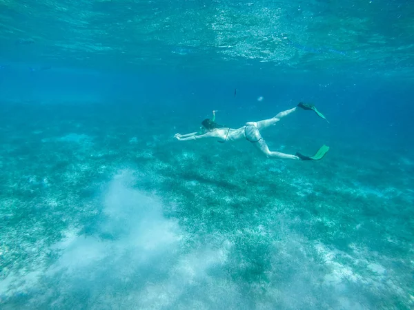 Nurkowanie w morzu czerwonym. Seksowna dziewczyna w bikini i masce. Nurkowanie. — Zdjęcie stockowe