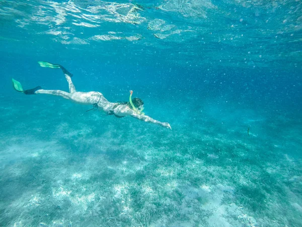 Dykning i Röda havet. Sexig tjej i bikini och mask. Snorkling. — Stockfoto
