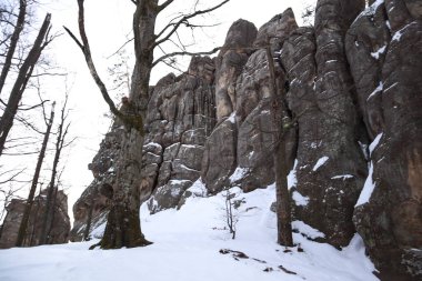 Dovbush kışın sallanıyor. Seyahat et. Doğal kaynaklar. Taşların altında