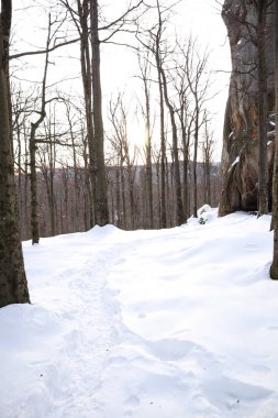 Dovbush kışın sallanıyor. Seyahat et. Doğal kaynaklar. Taşların altında
