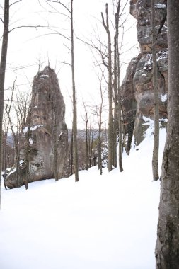 Dovbush kışın sallanıyor. Seyahat et. Doğal kaynaklar. Taşların altında