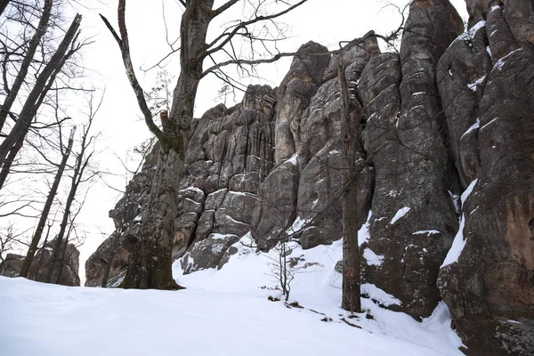 Dovbush rochas no inverno. Viajar. Recursos naturais. Pedras sob — Fotografia de Stock