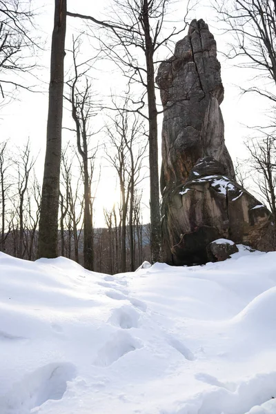 Dovbush rotsen in de winter. Reizen. Natuurlijke hulpbronnen. Stenen onder — Stockfoto