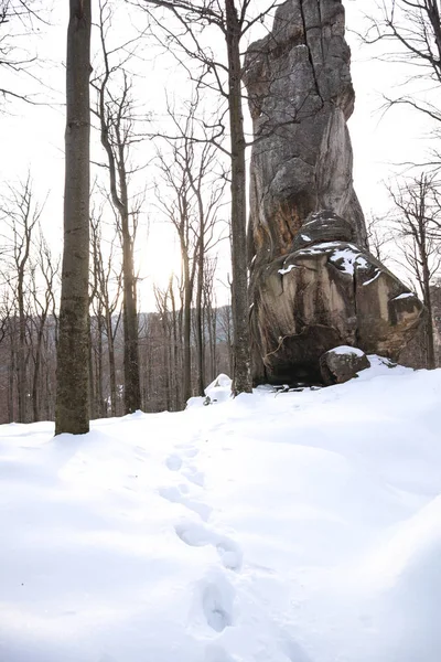 Dovbush rocas en invierno. Viajar. Recursos naturales. Piedras debajo — Foto de Stock