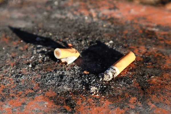 Uma lata de lixo com cigarros na tampa. Cidade moderna. Alemanha. Fumaça — Fotografia de Stock