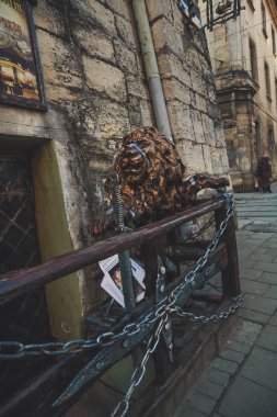 Lviv 'in eski sokakları. Avusturya mimarisi. Şehir detayları. Şey...