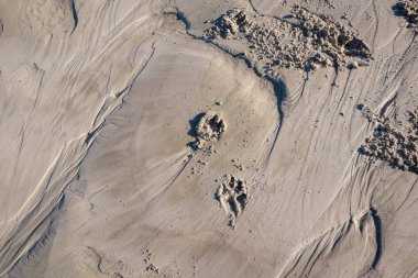 Su boşaltımından sonra gölün üzerindeki kum dokusu. Dalgalanmalar. Köpek!