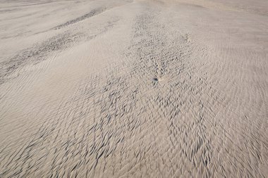 Su boşaltımından sonra gölün üzerindeki kum dokusu. Dalgalanmalar. Illus.