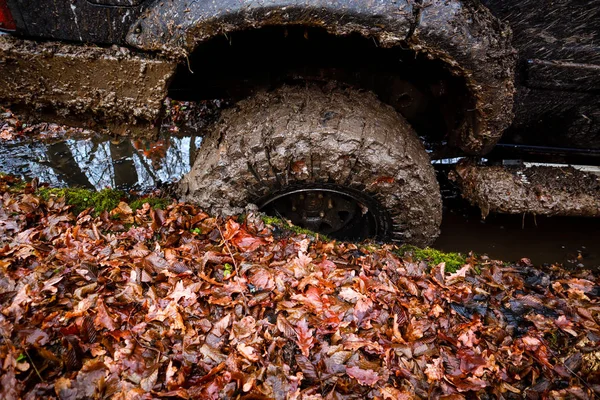 Їздити Лісу Машині Баггі Подорож Горах Колесо Болоті Осінні Колеса — стокове фото