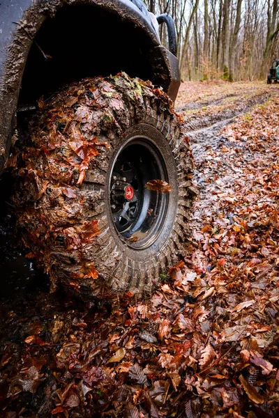 Riding the forest by car and buggy. Offroad trip to the mountains. Wheel in the swamp.Autumn wheels.