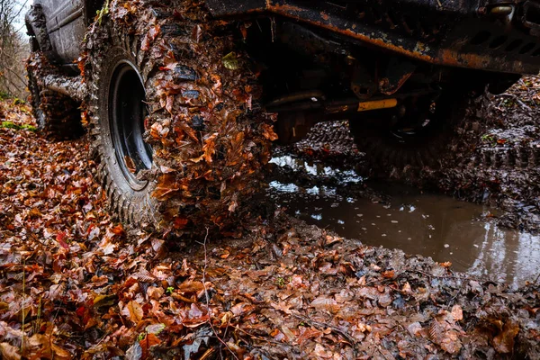 車やバギーで森に乗る 山へのオフロード旅行 沼の車輪秋の車輪 — ストック写真
