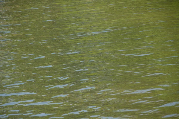 Reflexos de água de um rio — Fotografia de Stock