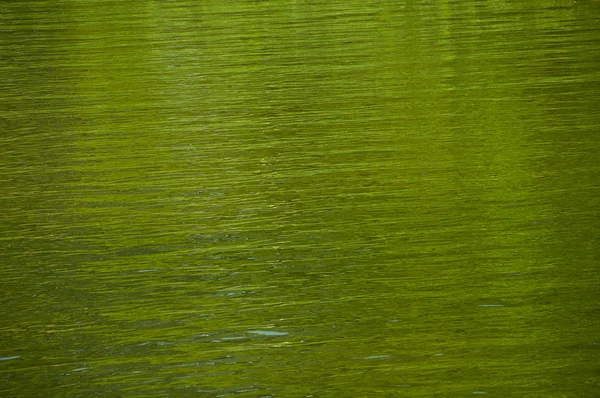 Reflexões verdes na água — Fotografia de Stock