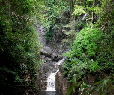 Şelale: Namtok Phlio Milli Parkı, Chanthaburi, Tayland 