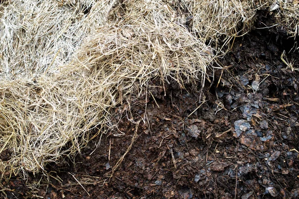 Compost bodem, biologische plantaardige meststoffen: Close-up — Stockfoto