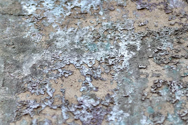 Detailní záběr špinavé zdi textury — Stock fotografie