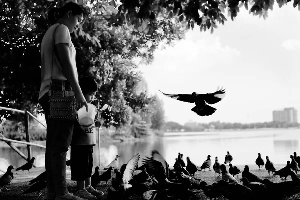 Mother and son feeding pigeons at the lake — Stock Photo, Image