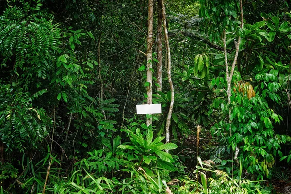 Aanmelden in een forest — Stockfoto