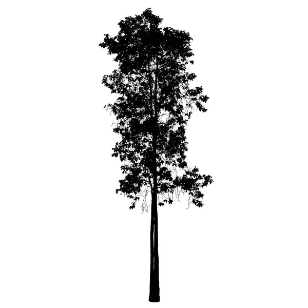 Sylwetka na białym tle na Backgorund biały drzewo: Vecrtor — Wektor stockowy
