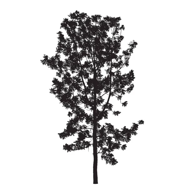 Silhouette dell'albero isolato su sfondo bianco: Vecrtor — Vettoriale Stock