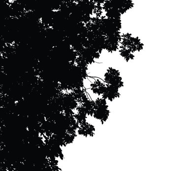 Ağaç ve dal siluet: ayrıntılı vektör çizim