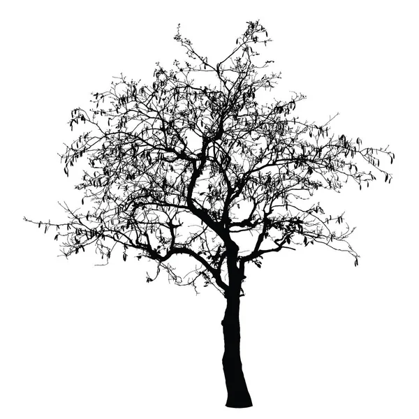 Ağaç siluet: detaylı vektör