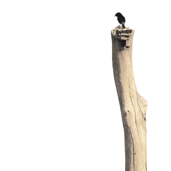 Kis madár ül a fa oszlop, elszigetelt, vektor — Stock Vector