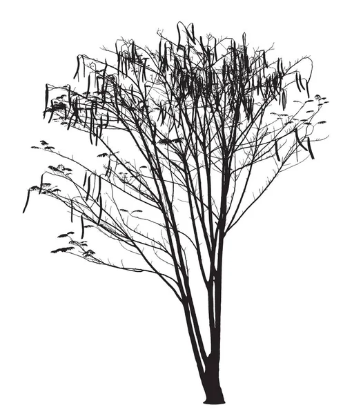 Silhouette d'arbre de flamme : Vecteur détaillé — Image vectorielle